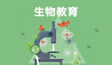 數(shù)學(xué)教育 (本科)